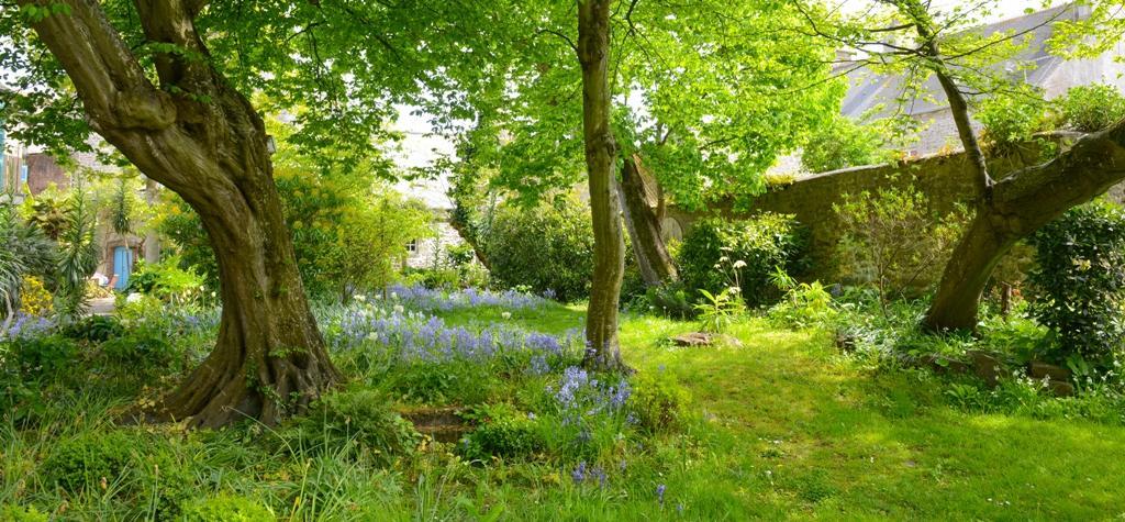 Logis Hotel Les Fuchsias Saint-Vaast-la-Hougue Bagian luar foto