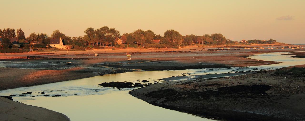 Logis Hotel Les Fuchsias Saint-Vaast-la-Hougue Bagian luar foto